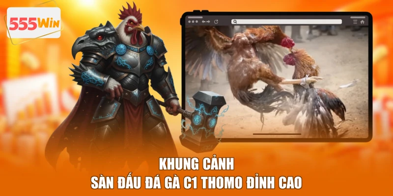 Khung cảnh sàn đấu đá gà C1 Thomo đỉnh cao