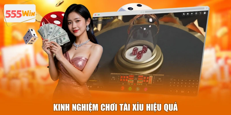 Kinh nghiệm chơi Tài Xỉu hiệu quả