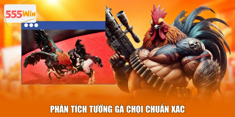 Phân tích tướng gà chọi chuẩn xác